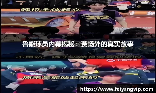 彩神v8app