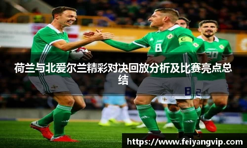 荷兰与北爱尔兰精彩对决回放分析及比赛亮点总结