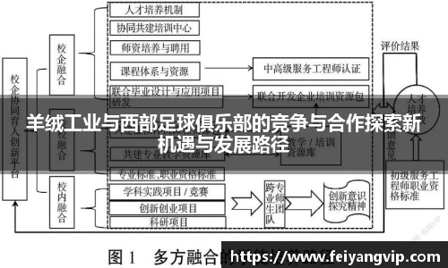 羊绒工业与西部足球俱乐部的竞争与合作探索新机遇与发展路径